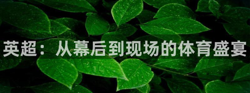 88看球电视直播：英超：从幕后到现场的体育盛宴