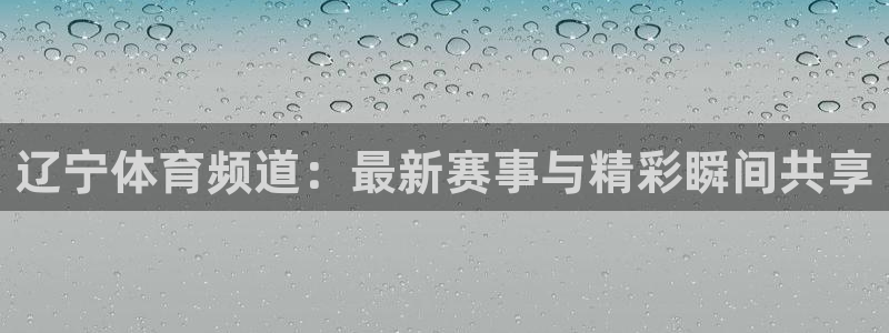 88看球nba足球直播：辽宁体育频道：最新赛事与精彩瞬间共享